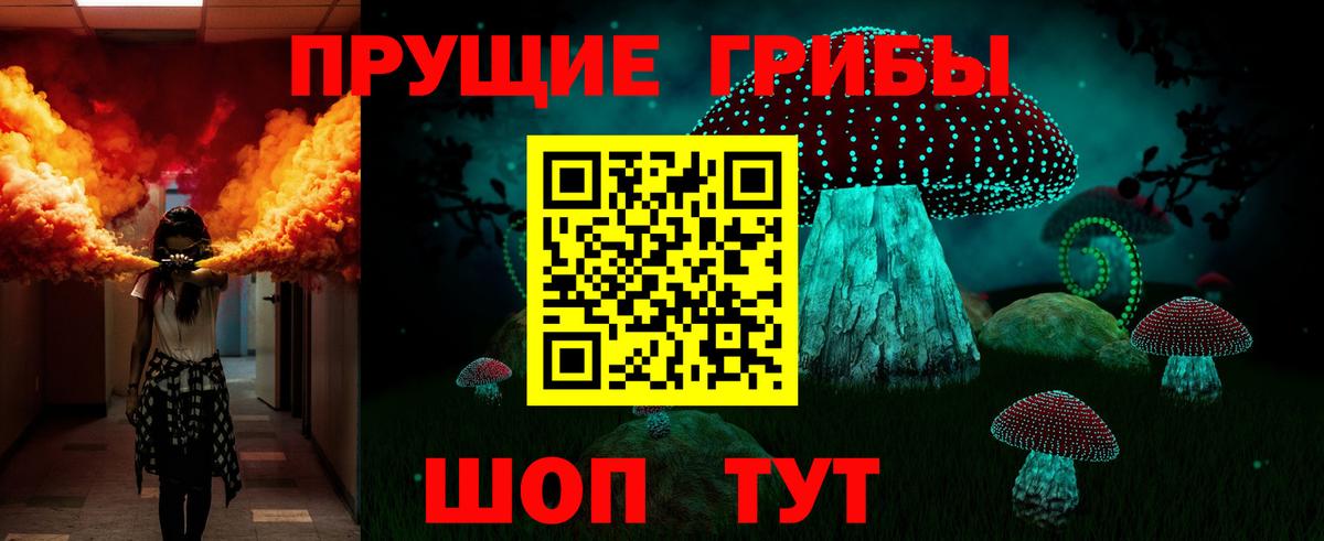 Псилоцибиновые грибы MAGIC MUSHROOMS  Вход с VPN  Камышлов 