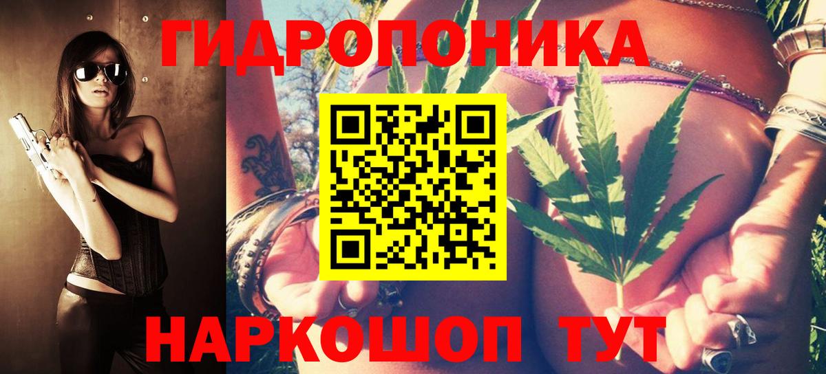 Камышлов  Бошки марихуана марихуана  Конопля OG Kush  Вход с VPN 